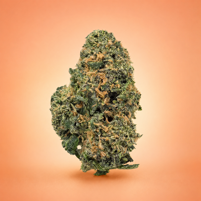 Apple Fritter - Uncoated Flower