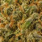 Bubba Kush - Uncoated Flower