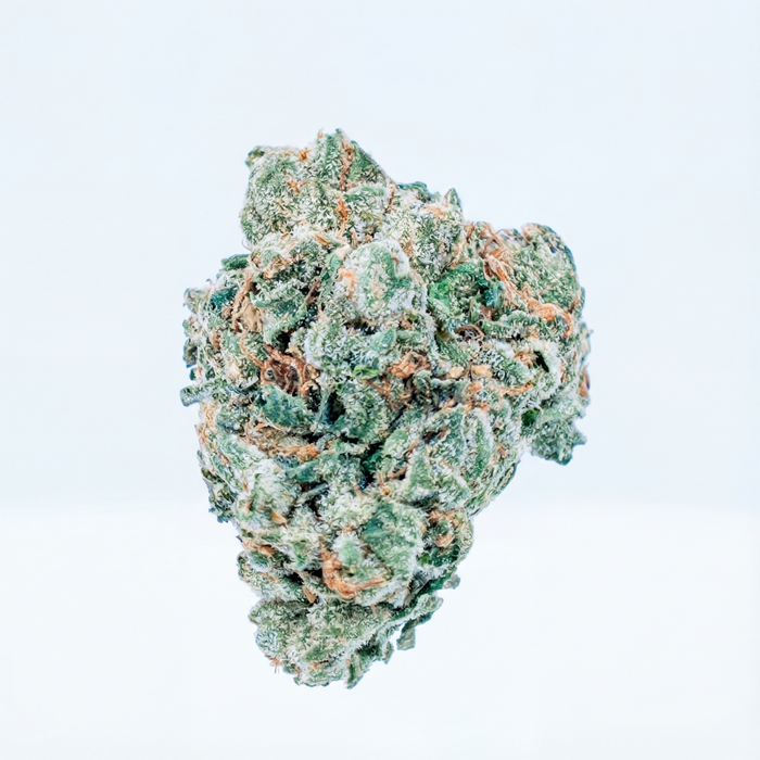 Apple Fritter - Uncoated Flower